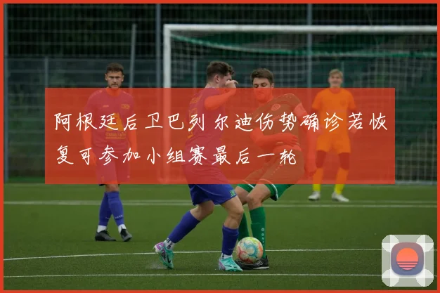 阿根廷后卫巴列尔迪伤势确诊若恢复可参加小组赛最后一轮